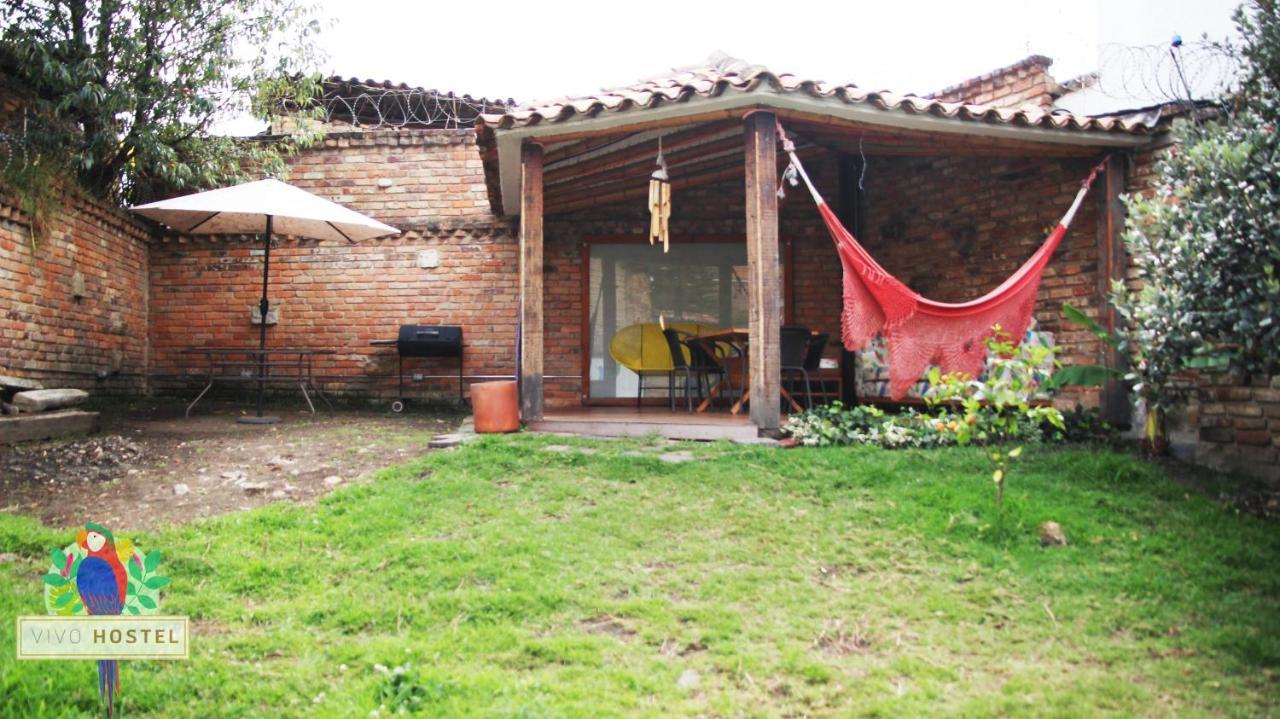 Vivo Hostel *