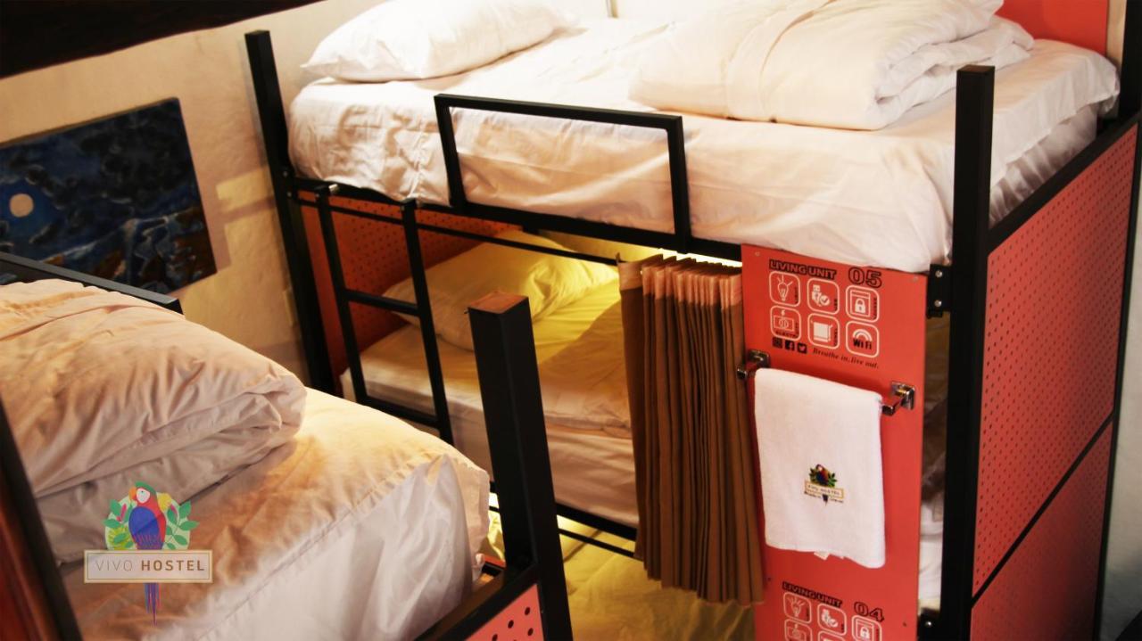 Vivo Hostel
