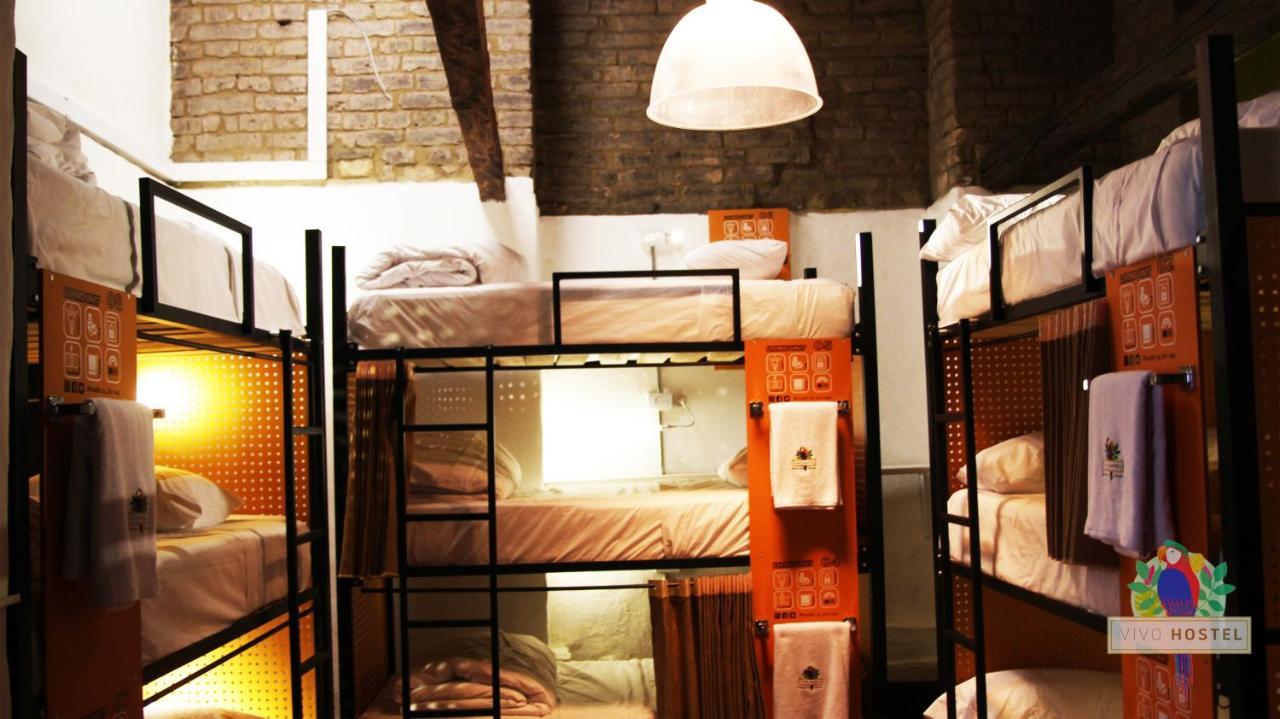 Vivo Hostel