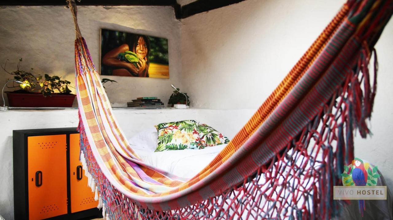 Vivo Albergue *